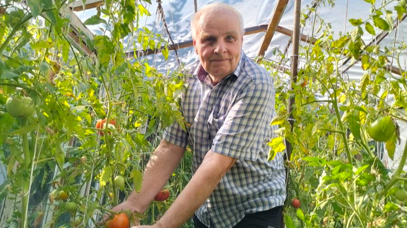 74-річний лучанин виростив сотню кущів помідорів у пам’ять про сина-військового