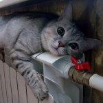 Аварія на тепломережі в Луцьку – кілька будинків тимчасово без опалення