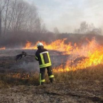 Палили траву і побили лісника, який хотів їх затримати: як покарали двох волинян