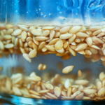 замочування насіння