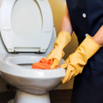 Як за 30 хвилин очистити унітаз: незвичайний лайфхак із льодом