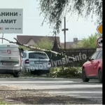 У Нововолинську через сильний вітер дерево обвалилося просто на австомобіль - відео