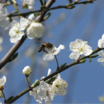 погода в Україні, прогноз погоди