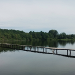 Грушівське озеро на Волині: тихий рай у лісі з пірсами та чистою водою
