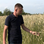 Після втрати брата на війні - знову в полі: як родина з Волині вирощує хліб і допомагає армії