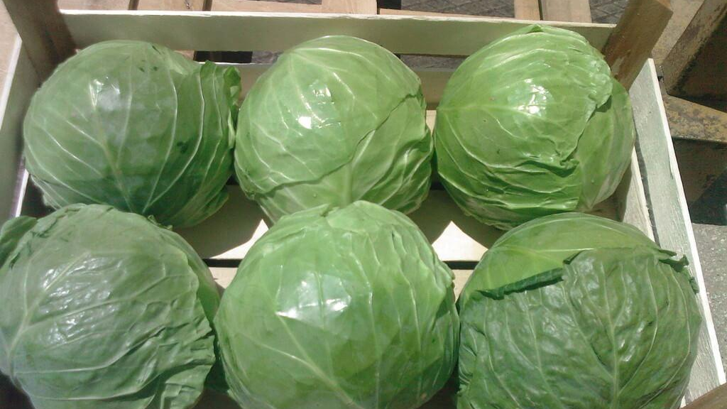 Як правильно зберігати капусту взимку, щоб не втратити врожай