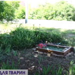 Кладовище для тварин: як у Луцьку легально поховати домашнього улюбленця. Відео
