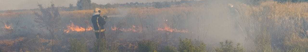 На Волині у пожежі сухої трави та чагарників загинув чоловік