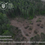 На Волині незаконно вирубали вільху, сосни та берези на понад 16,5 мільйона гривень