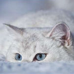 морози в Україні