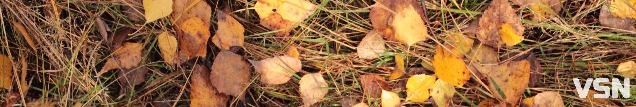 Хмарно та без опадів: прогноз погоди на Волині та у Луцьку на робочий тиждень