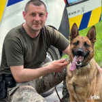 Чотирилапі поліцейські: як на Волині виховують службових собак