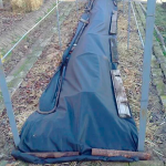 Чим вкривати виноград на зиму: перевірені поради, які допоможуть збільшити врожай у наступному році