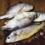 Рибні відходи для підживлення ґрунту