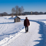 На Волині після потепління знову вдарять морози до −17 °C: синоптики попереджають про «сюрпризи»