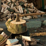 Які дрова «забирають» тепло у будинку: точно не для опалення
