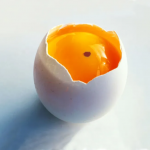 Чи можна їсти яйця з червоною плямою на жовтку – пояснюють фахівці