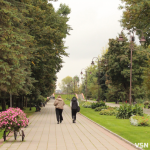 Як змінюється парк Лесі Українки — зелене серце Луцька. Фоторепортаж