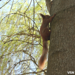 До 14 градусів тепла: якою буде погода протягом робочого тижня на Волині