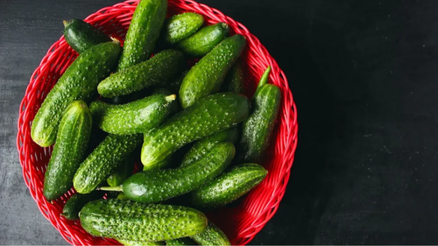 Найкращі сорти огірків: хрумкі, надзвичайно врожайні та підходять для консервації