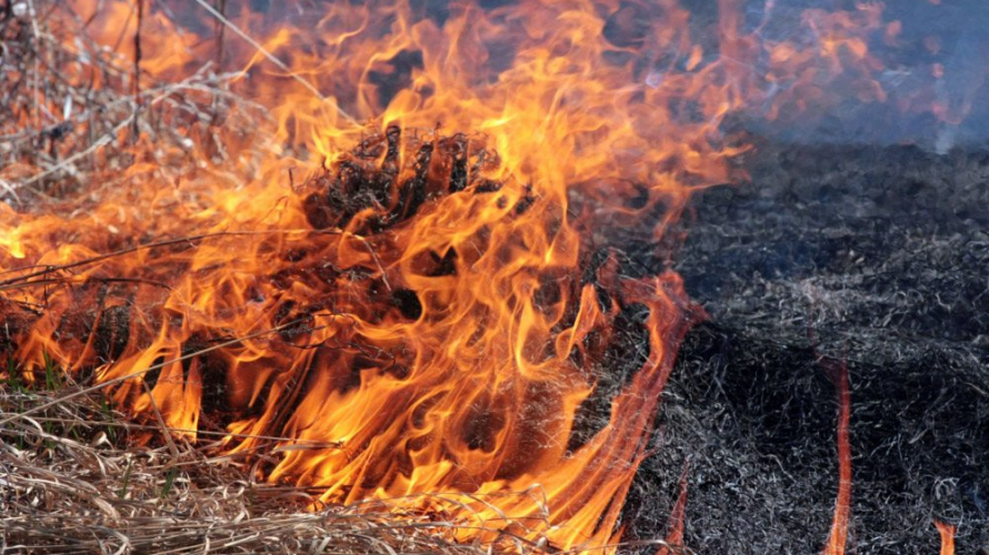 На Волині судили матір, неповнолітній син якої спалював сухостій