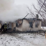 У Житомирській області під час пожежі в будинку загинули троє маленьких дітей