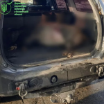 Убив самку дикого кабана — заплатить копійки: на Волині судили браконьєра