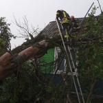 Негода на Волині: дерево впало на дах будинку