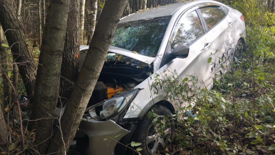 На Волині водій Hundai зʼїхав у кювет та зіткнувся із придорожнім деревом, постраждала пасажирка