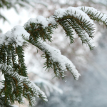 Погода на зиму 2025 - 2026