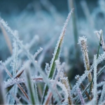 Коли випаде сніг на Волині: прогноз погоди на весь листопад