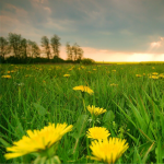Ховати куртки чи ні: якою буде погода на Волині на початку травня
