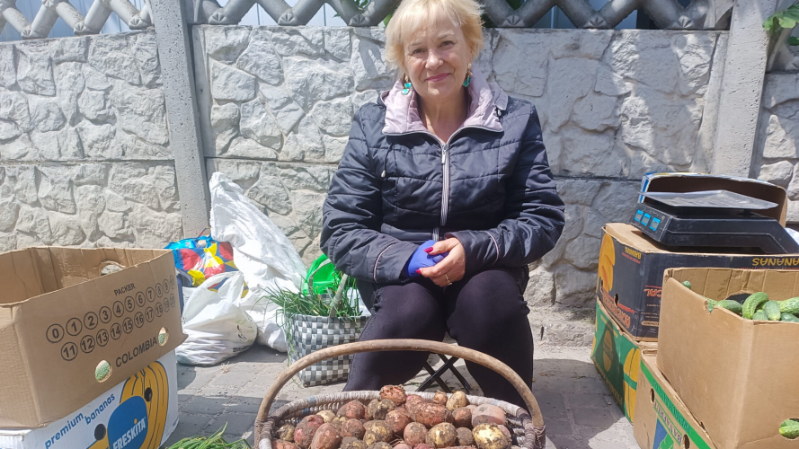 Волиняни вже активно збирають врожай домашньої картоплі