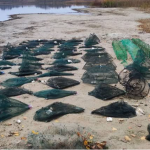 Понад 600 тисяч гривень збитків: на Волині з озера дістали заборонені пастки і врятували 185 раків