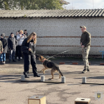 Чотирилапі вихованці кінологічного центру поліції Волині продемонстрували свою роботу