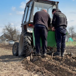 «Треба побавитися»: як у волинському селі вирощують городину і тримають господарство