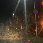 Повалені дерева та зірваний дах: в Ужгороді сильний буревій наробив біди. Фото