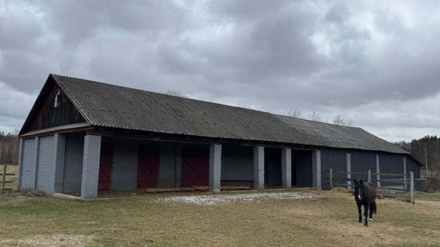 На Волині продають конюшню та господарські будівлі: стартова ціна - понад 1,5 мільйона