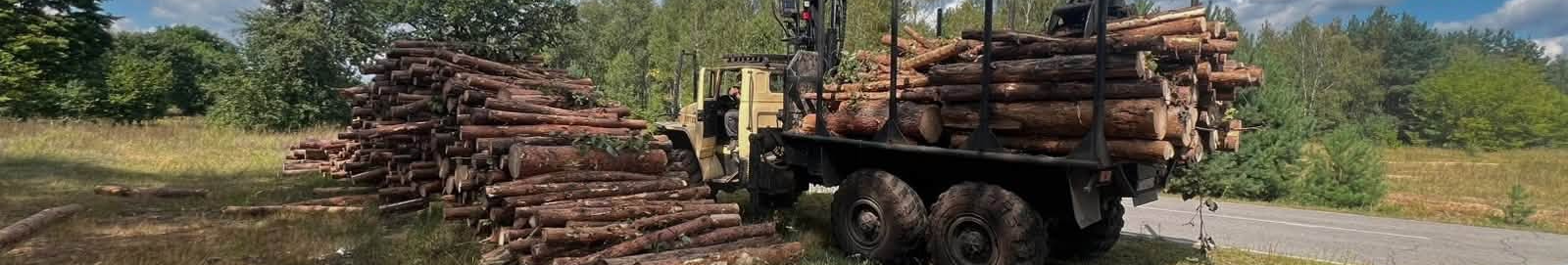 На Волині виявили деревину, яку незаконно вантажили краном на лісовоз