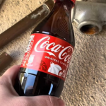 Як позбутися гризунів у будинку за допомогою «Кока-Коли»