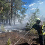 На Волині загорілася суха трава – під загрозою опинився ліс