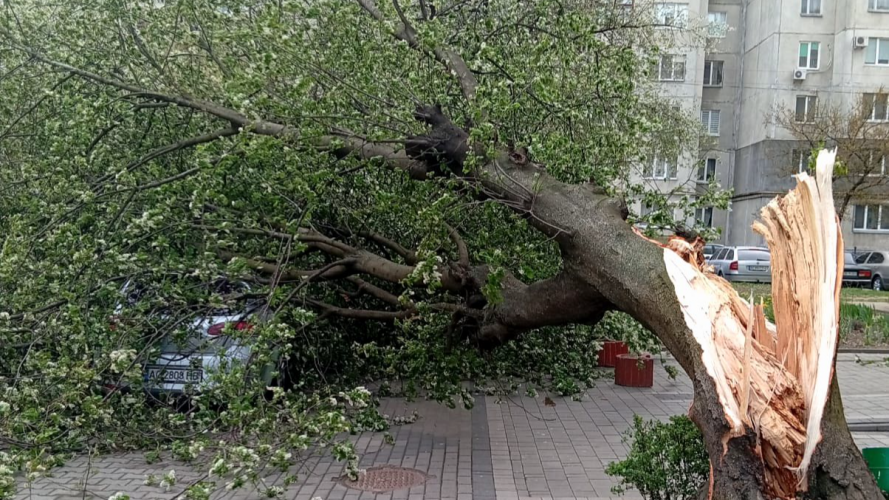 У Луцькому районі через негоду пошкоджені дахи, повалене дерево впало на авто