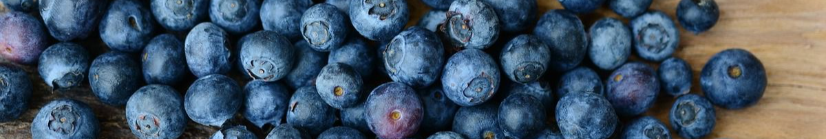 Радуватиме величезними врожаями до 30 років: як правильно посадити лохину, щоб вона точно прижилася