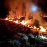 На Волині спіймали на гарячому палійку сухостою