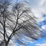 негода в Україні, прогноз погоди, погода в україні