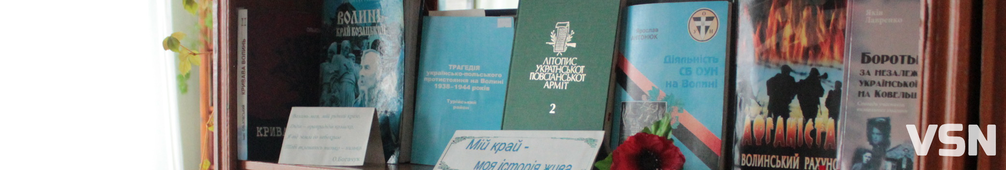 «Хто ходить до церкви, той і до бібліотеки заходить»: чим живуть сільські бібліотеки на Волині