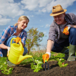 Чи можна працювати на городі в Лазареву суботу: як не накликати неприємності