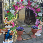 Які ціни на квитки до Луцького зоопарку у 2026 році