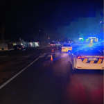 На Волині п'яний водій збив на пішохідному переході 13-річну дівчину