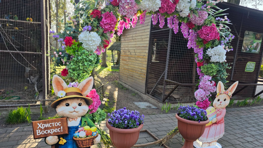 Які ціни на квитки до Луцького зоопарку у 2026 році